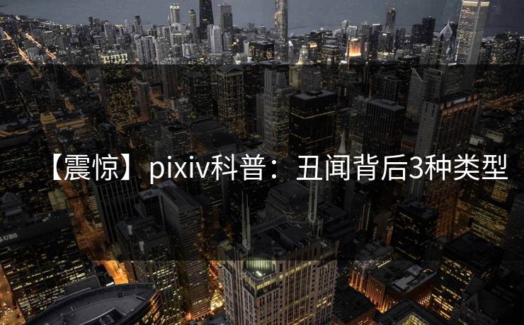 【震惊】pixiv科普：丑闻背后3种类型